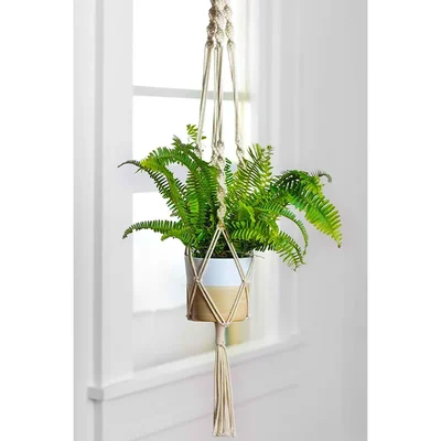 Ecofynd Macrame Plant Hanger Handwoven Cotton Hanging Planter for Home & Garden Decor(Pack of 2)