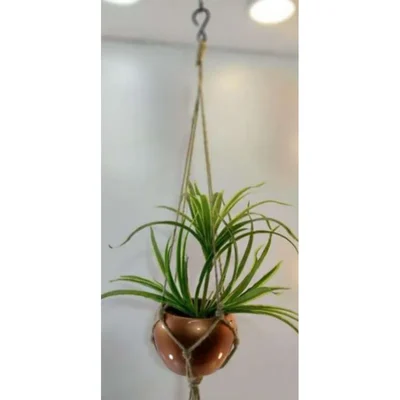 Handcrafted Macrame Plant Holder with Ceramic Pot Enhance your Indoor & Garden Decor with Elegance and Style