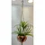 Handcrafted Macrame Plant Holder with Ceramic Pot Enhance your Indoor & Garden Decor with Elegance and Style