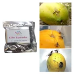 6 pcs of Made in India O-Mat Lure for Fruits Fly