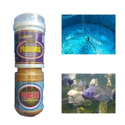 Probiotics Aquaculture Feed Supplements/ Growth Promoter for Fishes/Shrimp