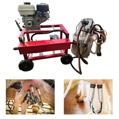 Single Bucket Milking Machine with 5 HP Engine and 1 HP Motor