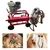 Single Bucket Milking Machine with 5 HP Engine and 1 HP Motor