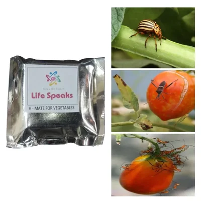 5 Pcs of Made in India V-Mat Lure for Vegetable Crops