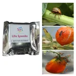 5 Pcs of Made in India V-Mat Lure for Vegetable Crops