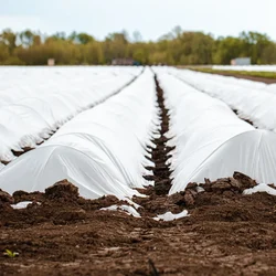 High Quality 23 GSM Crop Protection Cover | Ideal for Agricultural and Gardening Purposes(Size-1.6 x 400 meter)
