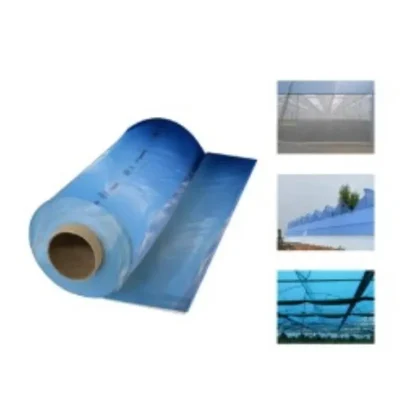 High Quality 200 Micron, 5 Layers Diffused AV-Blue Greenhouse/ Polyhouse Sheet for Reducing Temperature(Size-4.5 meter x 10 meter)