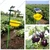 King Catcher Solar Insect Light Trap for 4000 Square Meter Area