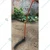 Heavy Duty AV-40 Scythe of 24 inch Blade for Harvesting Crops and Cutting Grass