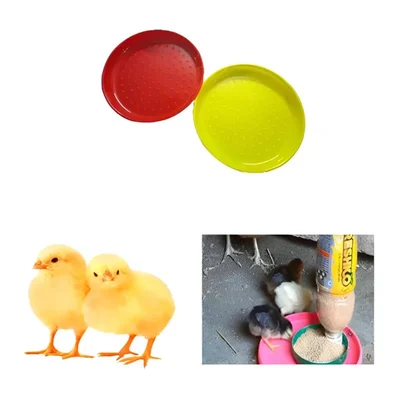 Premium Quality 38.10cm Chick feeding Tray (Pack of 5)