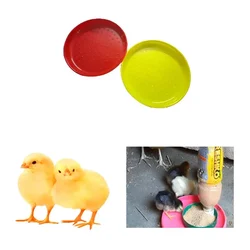 Premium Quality 38.10cm Chick feeding Tray (Pack of 5)
