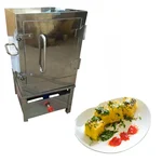 Heavy Duty Stainless Steel 12 Tray Gas Operated Dhokla Making Machine