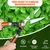 Global Nature Agro Hedge Shear With 10 Inch Blade & Wooden Handle For Gardening, Pruning & Farming