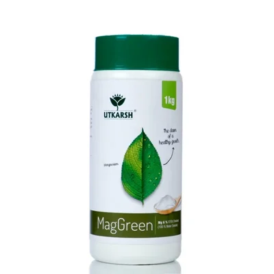 Utkarsh MagGreen (Magnesium Mg 5% EDTA Chelated, 100 % Water Soluble Foliar Spray Fertilizer) Boost Chlorophyll | 1 kg(Pack-1 x 1 kg)