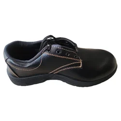 Classic Labour Safety Shoe with Fibre Toe Cap, Low Ankle Design, Rexene Upper, Single Density PVC Sole(Size-6)