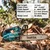Makita DUC356PT2 High Speed Cordless, Battery Chainsaw With 14 inch Guide Bar | Ideal for Gardening and Farming Purposes