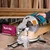 Makita 260 mm (10-1/4 inch) 1650 Watt Compound Miter Saw With Accessories, 4600 RPM (LS1040)