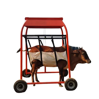 Portable Manual Animal Lifting Machine With 1500 Kg Load Capacity For Veterinary Use