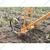 Mahan MHAWH Manual High Arc Wheel Hoe with Oscillating Hoe 6 Inch (2 nos), Plow Set, Cultivation Teeth (4 Nos.)