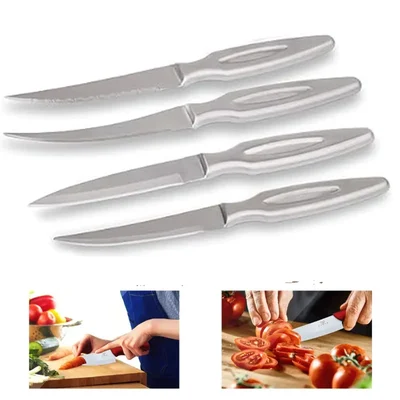 Premium Range Matt Finish Kitchen Knife Set (Pack of 4)