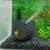 Sunsun HJ-731 Submersible Pump for Fish Tank, Aquarium, Hydroponics and Water Fountains
