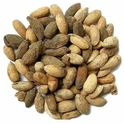 Melia Dubia Tree Seed , Malabar neem Seed , Malai vembu Seeds- (1Kg)