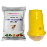 SK Agrotech IPM Trap with Melon Fly Lure (Bactrocera Cucurbitae)