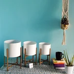 Ecofynd Mid Century Metal Plant Pot Set for Interior Decoration (Set of 3)