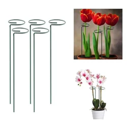 16 inch Metal Plant Stakes/Garden Plant Trellis for Stem Flower Plant Support(Pack of 5 Pcs)