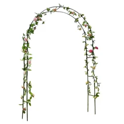 Ecofynd Metal Garden Arch Plant Stand for Climbers | Used in Lawns/Gardens(GARCH001-BLK)