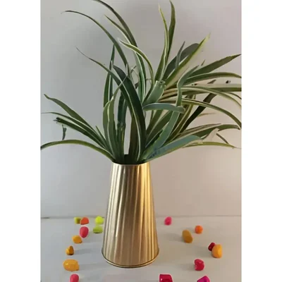 Versatile Metal Vase Ideal for Fresh & Artificial Flowers(Pack of 2)