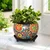 Ecofynd Designer Metal Plant Pot with Saucer Plate | Home Decor Item for Garden Plants , Balcony, Patio, Living Room