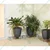 Heavy Duty 24 Inches Plant Stand Galvanised Metal Flower Pot Holder (PACK 4)