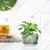 Ecofynd High-quality, Lily Green-Floral Print Metal Planter Pot for Home Decor