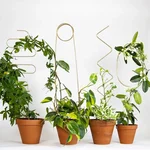70 cm Tall Durable Metal Garden Stakes ZigZag, Ring, Arch & Squiggle Designs for Stylish Plant Support 