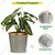 Ecofynd 10 inches Golden Border Grey Metal Planter Pot | Used for Home Decoration