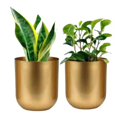 Ecofynd Gold Finish Elegant Metal Planter for Table Indoor Plants - Ideal for Gifting and Home Decor