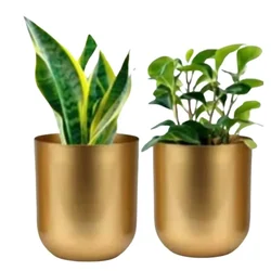 Ecofynd Gold Finish Elegant Metal Planter for Table Indoor Plants - Ideal for Gifting and Home Decor 