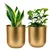 Ecofynd Gold Finish Elegant Metal Planter for Table Indoor Plants - Ideal for Gifting and Home Decor