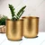 Ecofynd Gold Finish Elegant Metal Planter for Table Indoor Plants - Ideal for Gifting and Home Decor