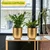 Ecofynd Gold Finish Elegant Metal Planter for Table Indoor Plants - Ideal for Gifting and Home Decor