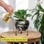 Ecofynd Lio Black Metal Planter Pot with Gold Stand | Modern Style Planter Set for Indoor Outdoor Home Decor 