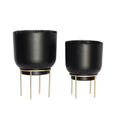 Ecofynd Eva Metal Plant Pots with Stands Home Decor Item for Balcony, Patio, Living Room, Garden (Pack of 2)