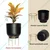 Ecofynd Eva Metal Plant Pots with Stands Home Decor Item for Balcony, Patio, Living Room, Garden (Pack of 2)