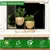 Ecofynd 6 inches Golden Metal Plant Pot with Stand, Pack of 2 Planter for Indoor Decoration 