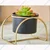 4 inches Black Metal Planter Pot with Golden Metal Stand for Home Decor Purpose