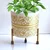 Ecofynd 5 inches Evan White Metal Planter Pot with Gold Stand (PWS025-WHTGO)