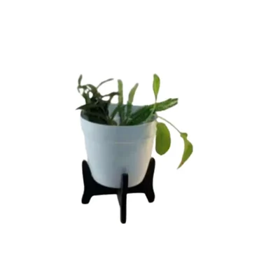 5 Inches Simple White Metal Planter Pot with Wooden Stand | Used for Home Decoration Purpose	