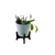 5 Inches Simple White Metal Planter Pot with Wooden Stand | Used for Home Decoration Purpose	