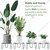 Ecofynd Black Metal Plant Holder Stands for House, Garden and Patio (Set of 5)